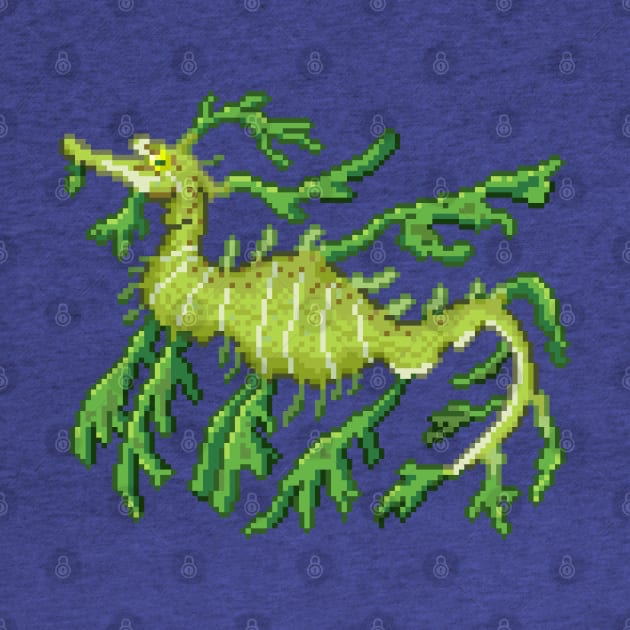 Leafy Sea Dragon by ZioCorvid